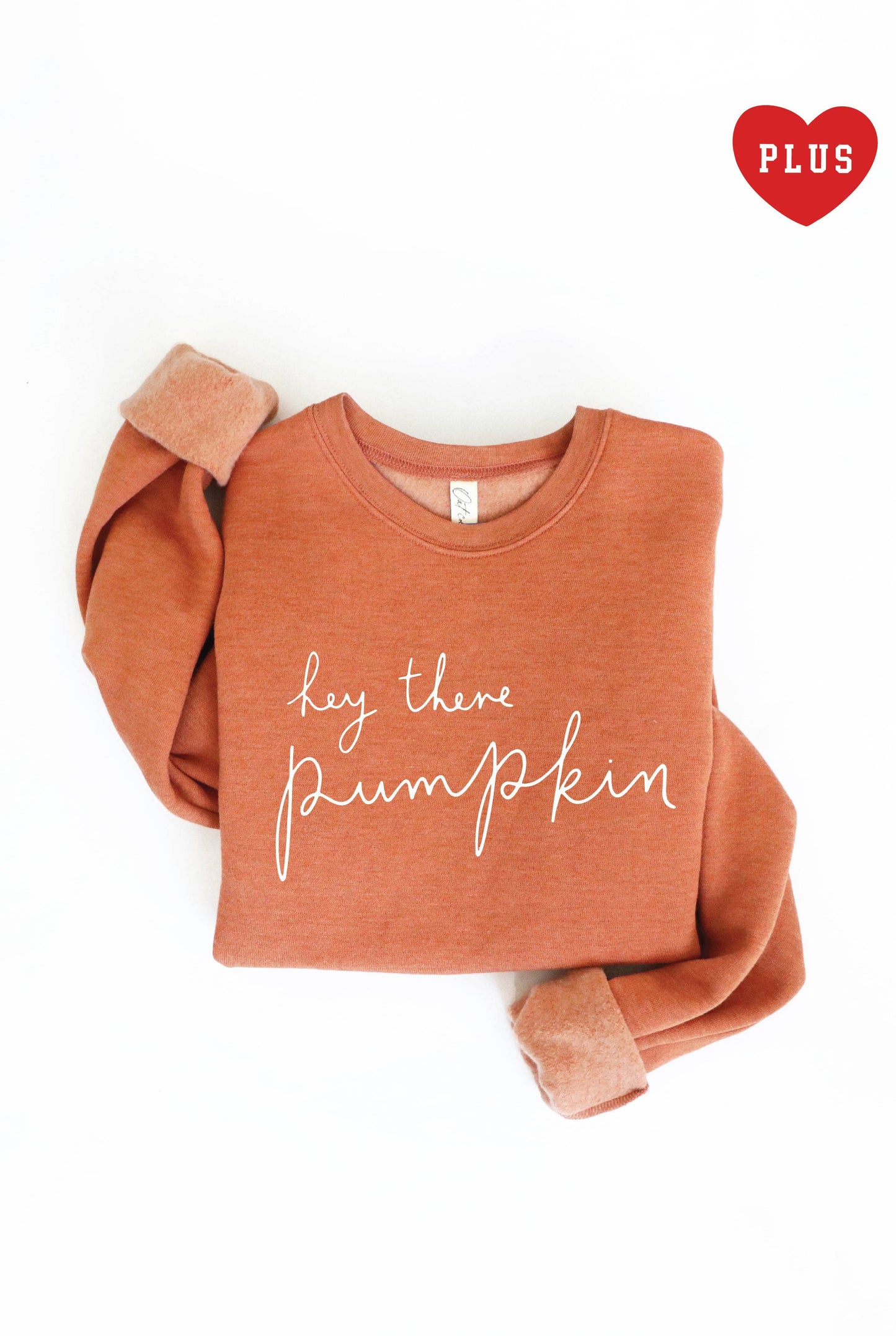 HEY THERE PUMPKIN Plus Graphic Sweatshirt