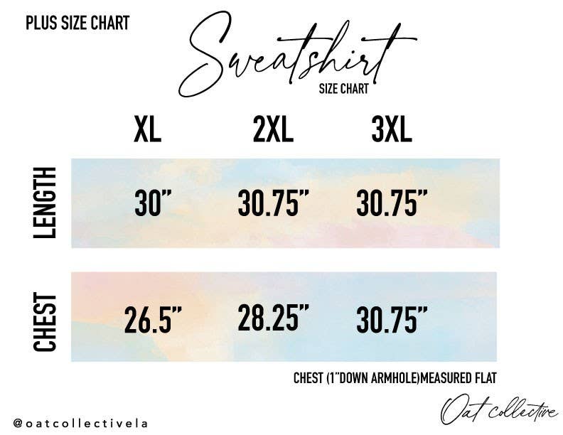 HEY THERE PUMPKIN Plus Graphic Sweatshirt