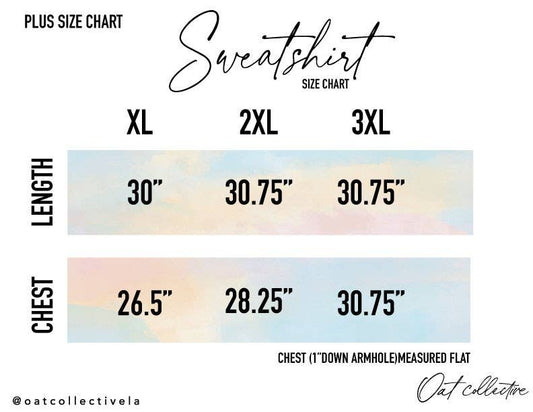 HEY THERE PUMPKIN Plus Graphic Sweatshirt